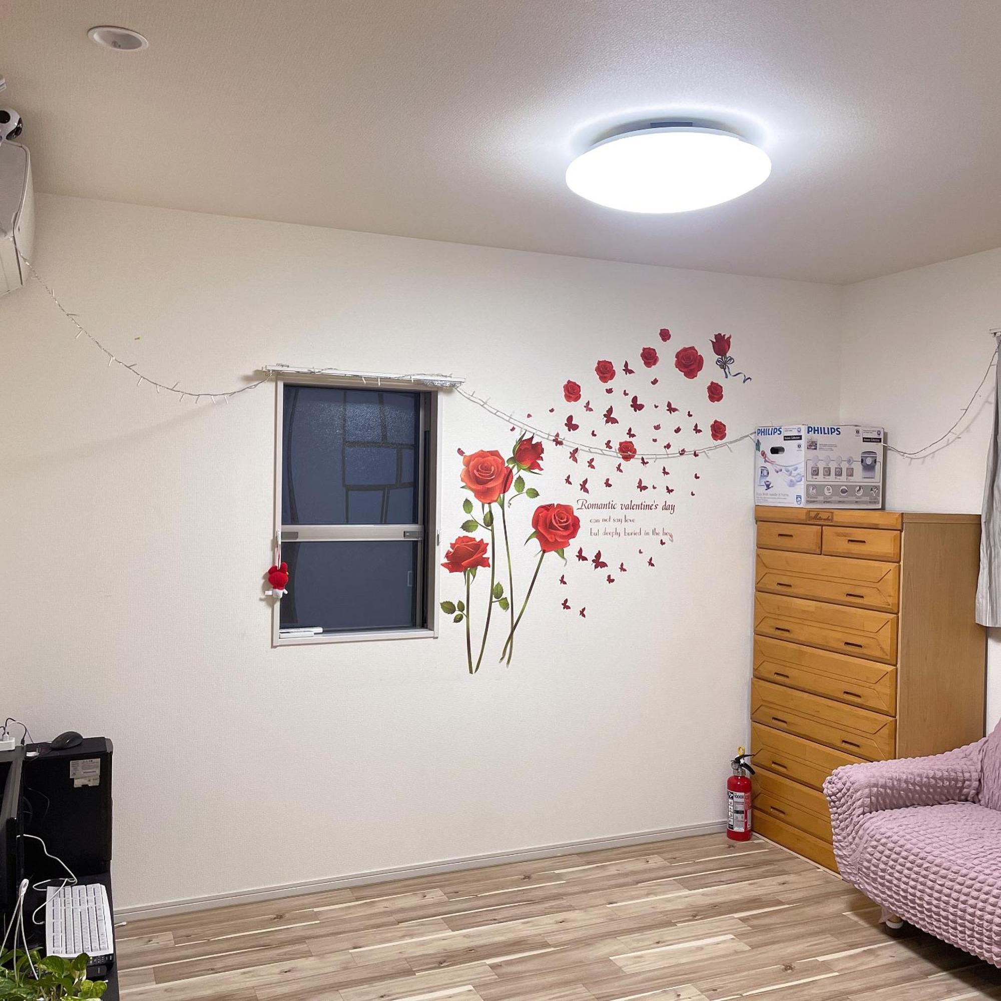 Mishe主题民宿 Homestay *