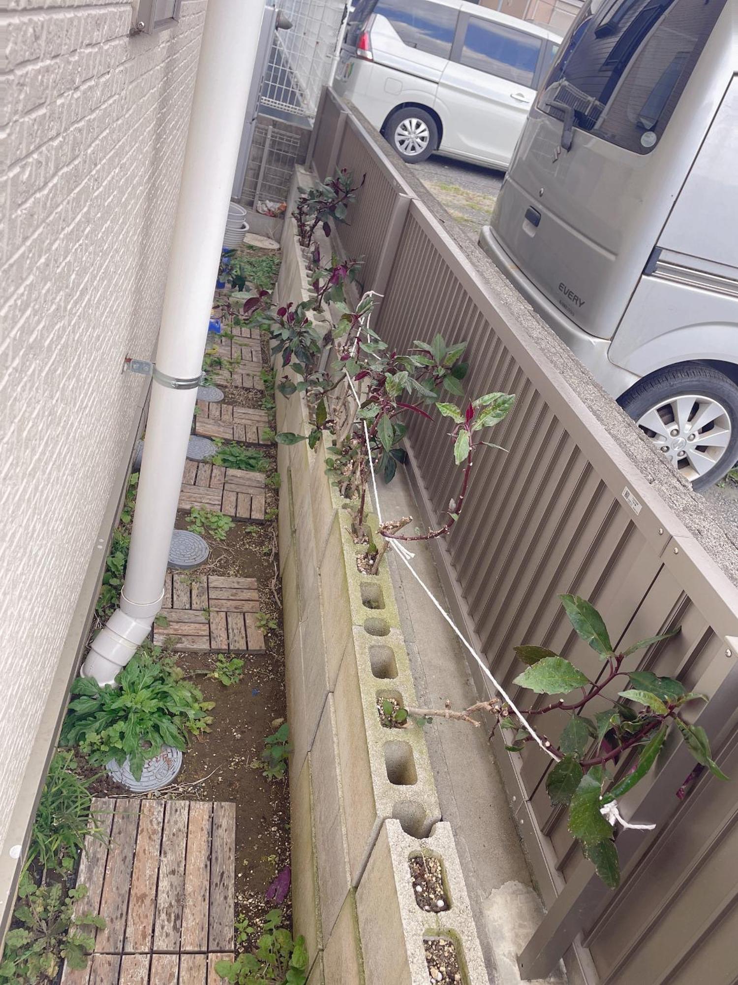 Mishe主题民宿 Homestay